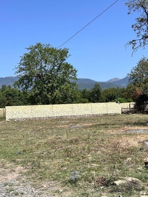 10 sot, Tikinti, Kupça (Çıxarış) — Qəbələ