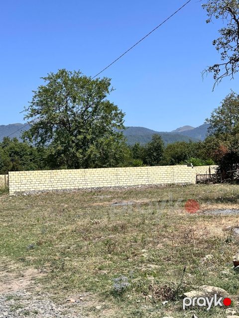 10 sot, Tikinti, Kupça (Çıxarış) — Qəbələ