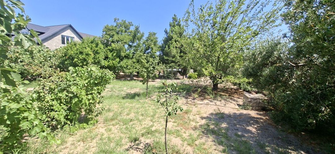 Bağ evi, Dübəndi qəs — Ev, villa, Bakı (6)