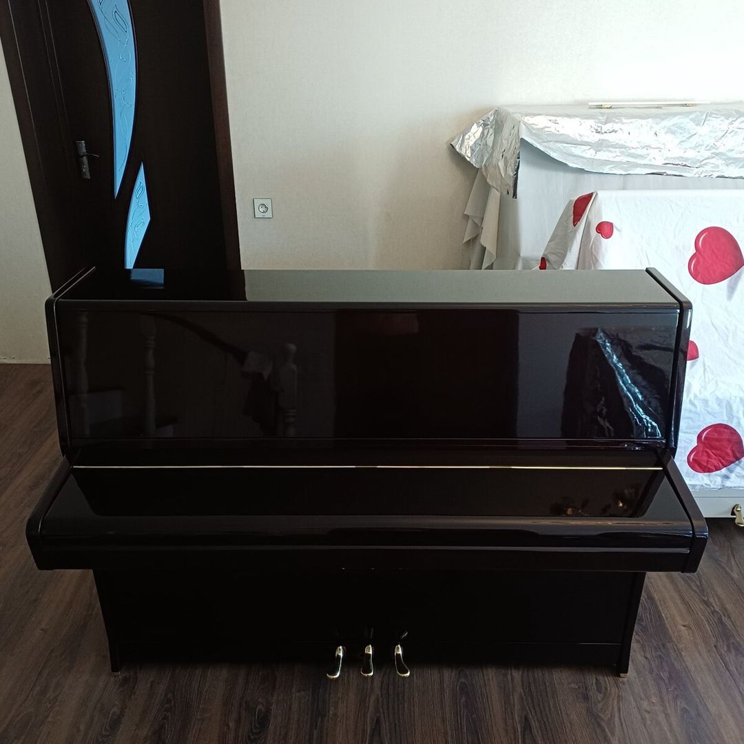Pianinolar — Musiqiə alətləri, Bakı (5)