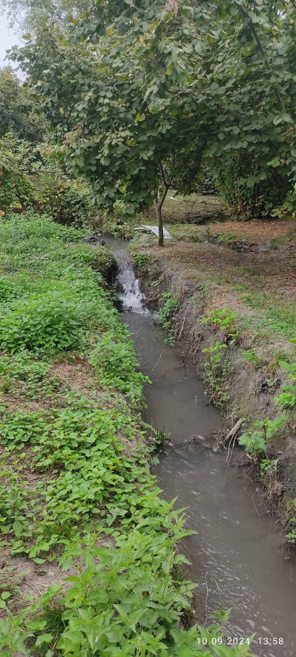80 sot, Kənd təsərrüfatı, Mülkiyyətçi, Kupça (Çıxarış) — Torpaq, Oğuz (7)
