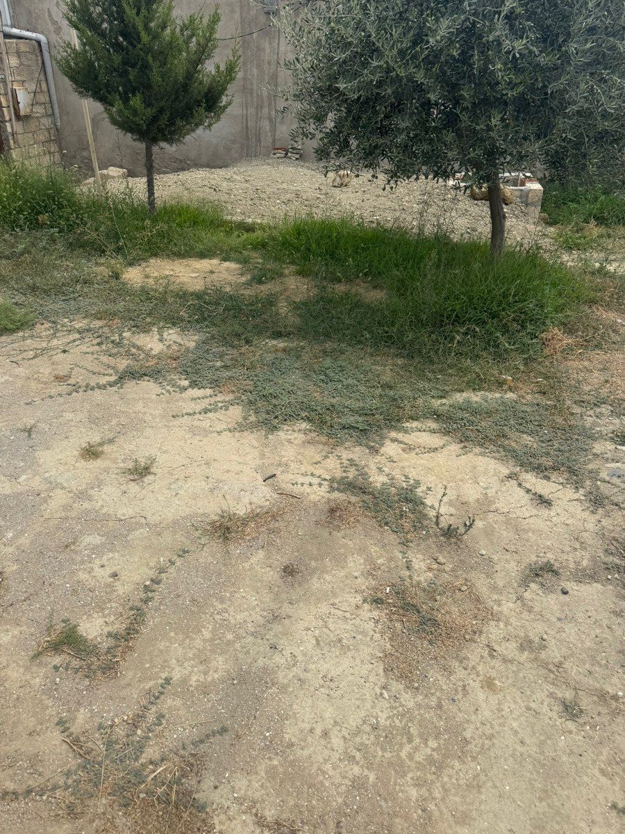 12 sot torpaq sahəsi, Masazır qəs — Torpaq, Bakı