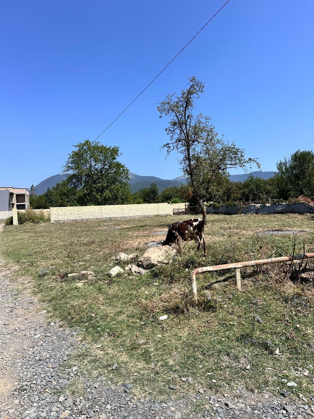 10 sot, Tikinti, Kupça (Çıxarış) — Torpaq, Qəbələ (3)
