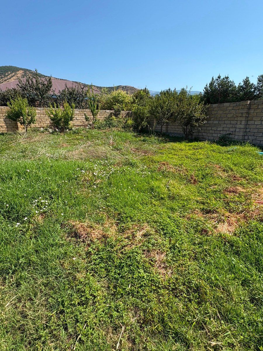 3 sot torpaq sahəsi, Şəki ş. — Torpaq, Şəki (5)