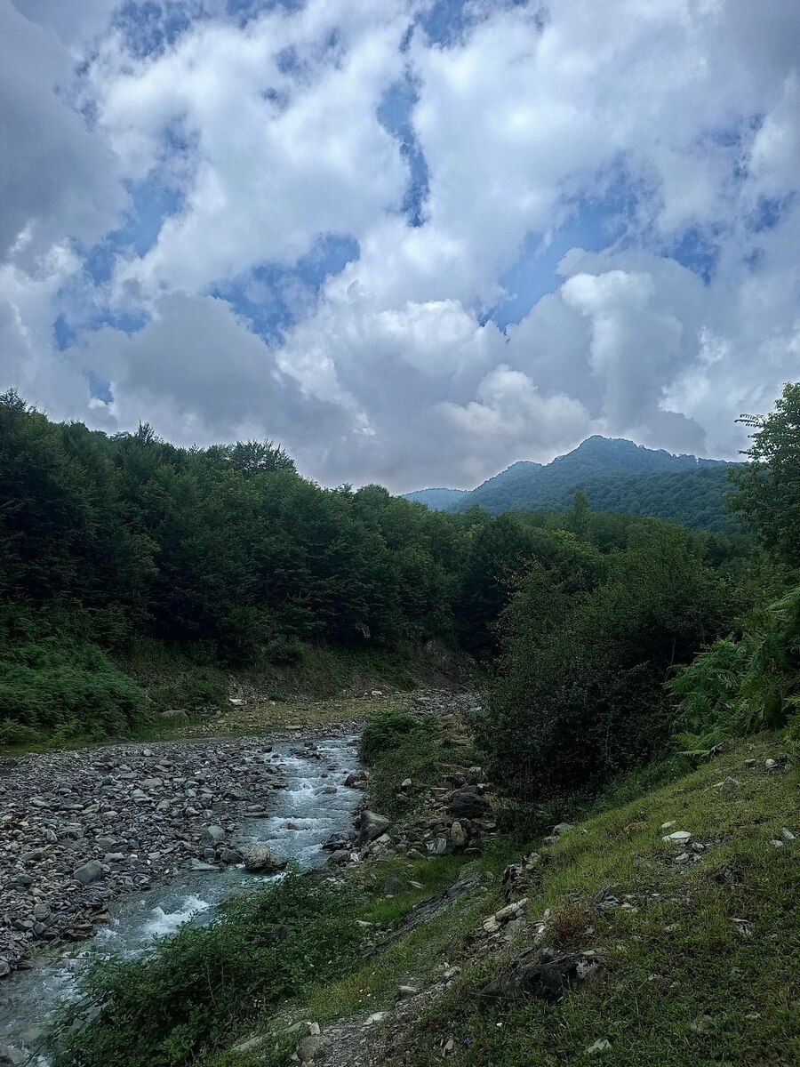 Həyət evi kirayə verilir, İsmayıllı r — Ev, villa, İsmayıllı (9)