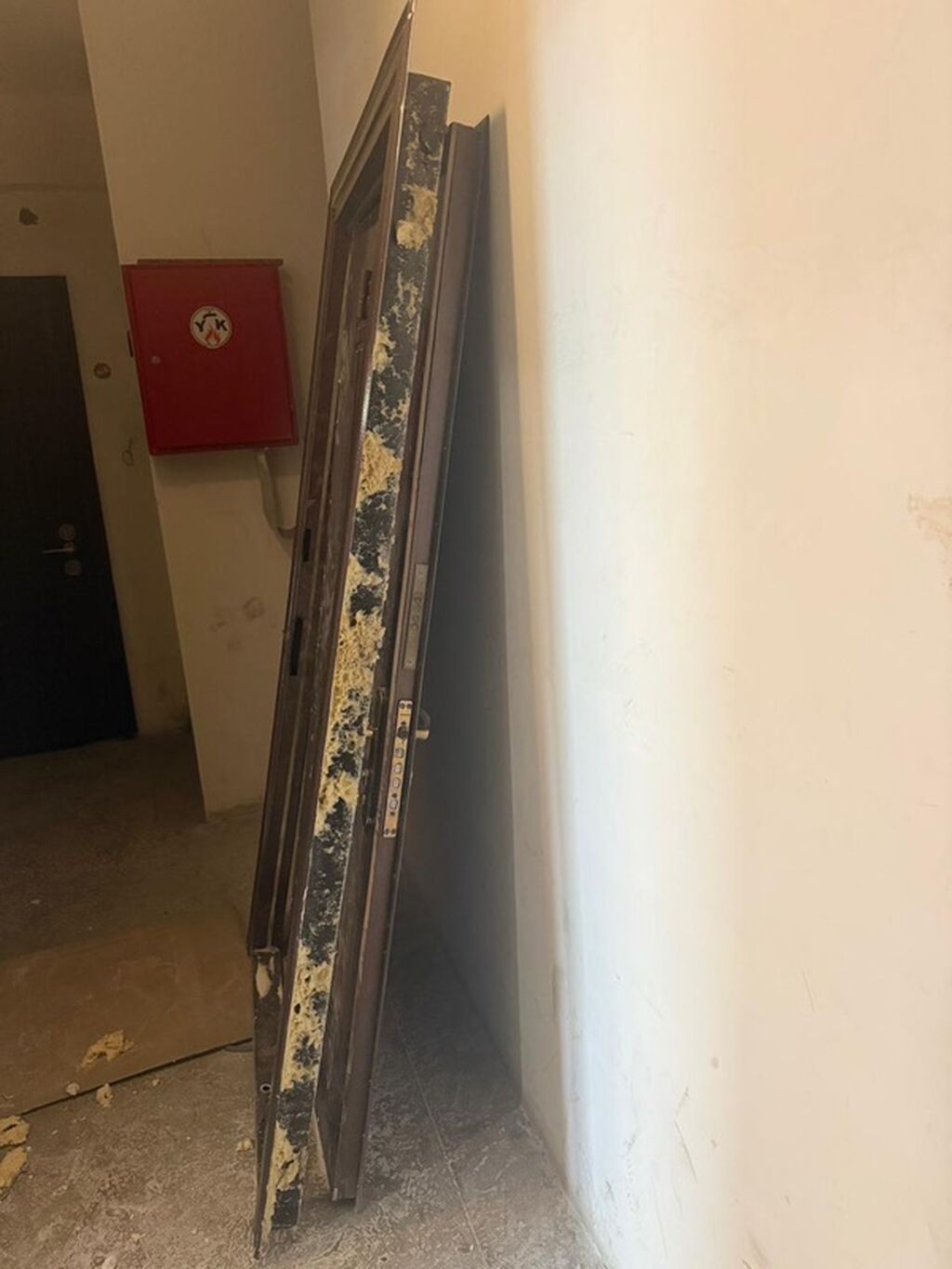 Dəmir giriş qapısı – komplekt - Material: qalın metal karkas, polad — Mallar, Bakı (2)