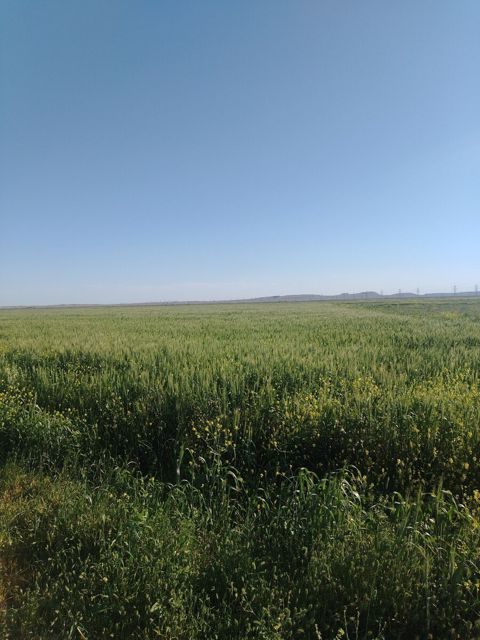 1000 sot torpaq sahəsi, Hacıqabul r — Hacıqabul
