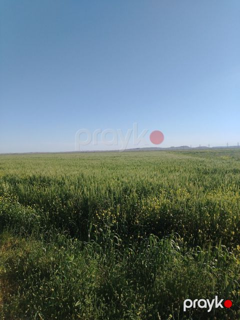 1000 sot torpaq sahəsi, Hacıqabul r