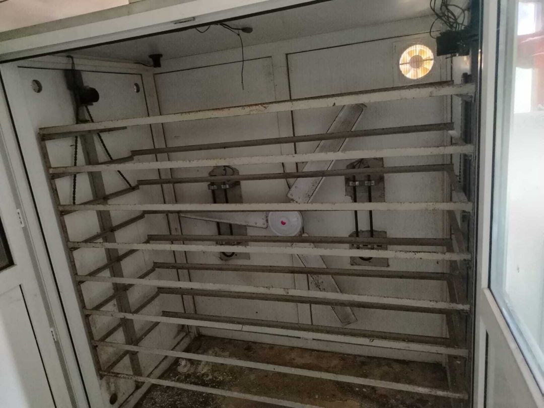 İnkubator — Biznes və avadanlıq, Salyan (2)