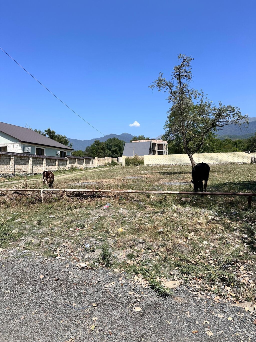 10 sot, Tikinti, Kupça (Çıxarış) — Torpaq, Qəbələ (5)
