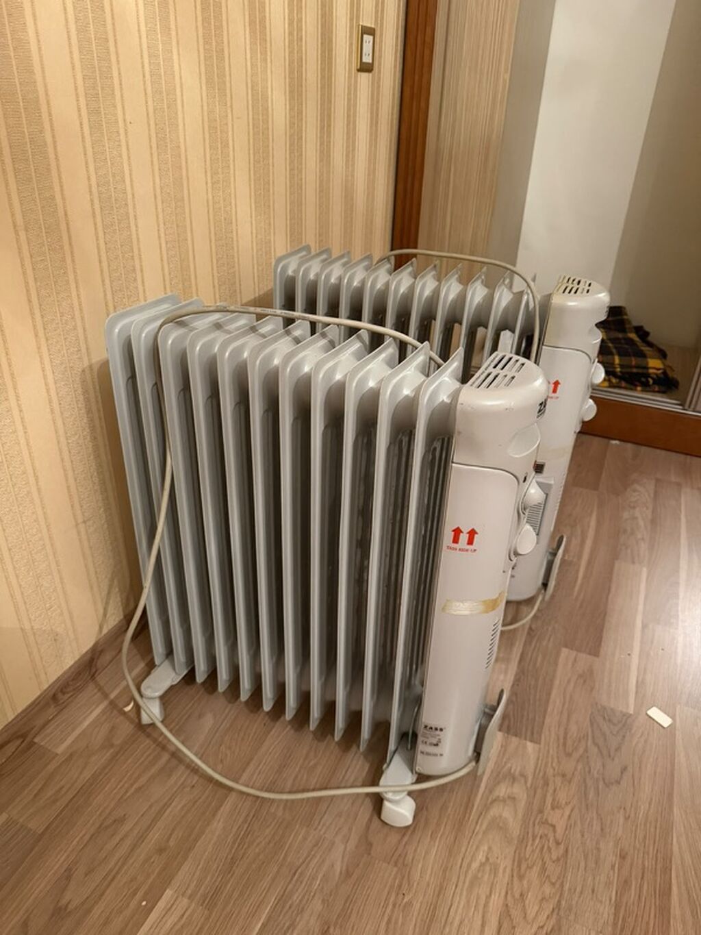 ZASS Germany markalı yağlı radiator qızdırıcılar 2 eded Giymeti her — Elektronika, Bakı