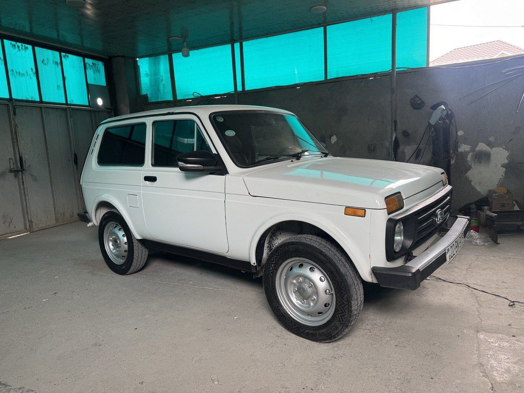Lada (VAZ) Niva, 1.7 L, 1998 il, 222 000 km — Avtomobillər, Bərdə (5)