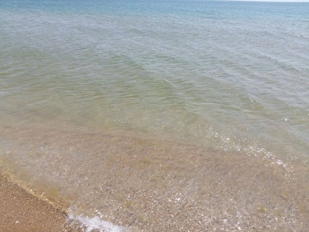 6 sot torpaq sahəsi, Zirə qəs — Torpaq, Bakı (6)