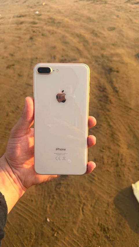IPhone 8 Plus, 64 GB, Qızılı, Barmaq izi — Bakı