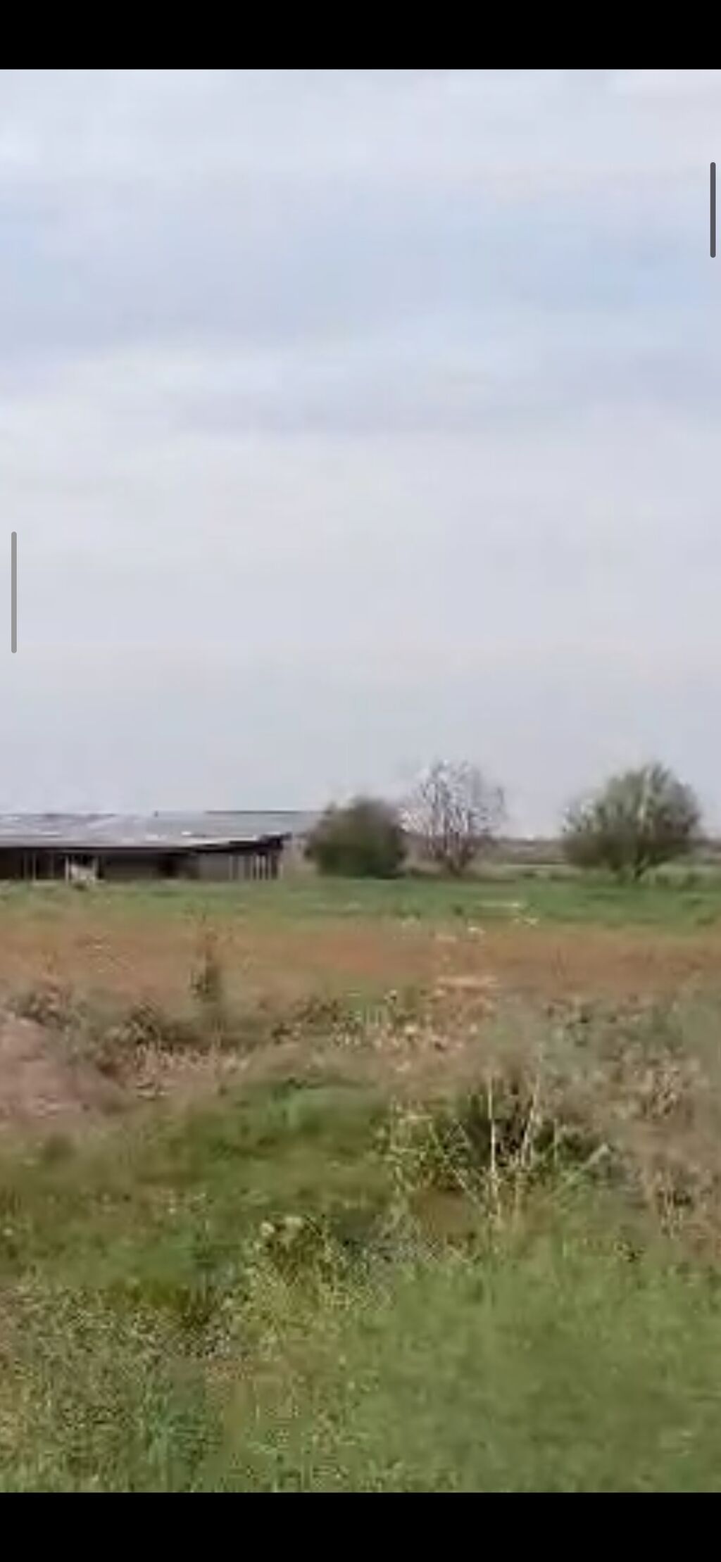 Ferma/Göyçayda 260 hektar sahədə ferma bütün avadanlıqlarla və fermada — Daşınmaz əmlak, Bakı (7)