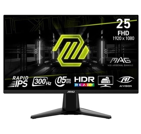 MSİ 300 hz 0.5 ms Gaming monitor - Ekran: 25", FHD 1920×1080 - Panel — Bakı
