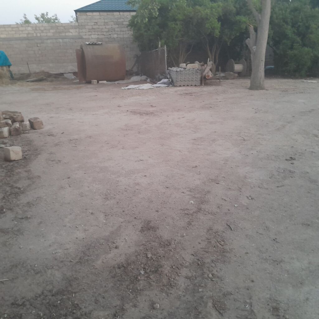 8 sot, Tikinti, Makler, Kupça (Çıxarış) — Torpaq, Digah (2)