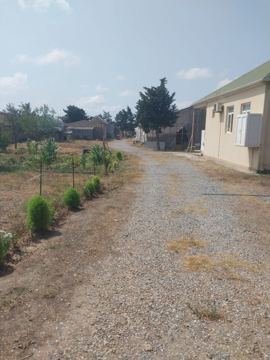 1100 sot torpaq sahəsi, Buzovna qəs — Torpaq, Bakı (4)