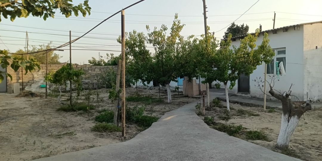 25 sot torpaq sahəsi, Novxanı qəs — Torpaq, Bakı (5)