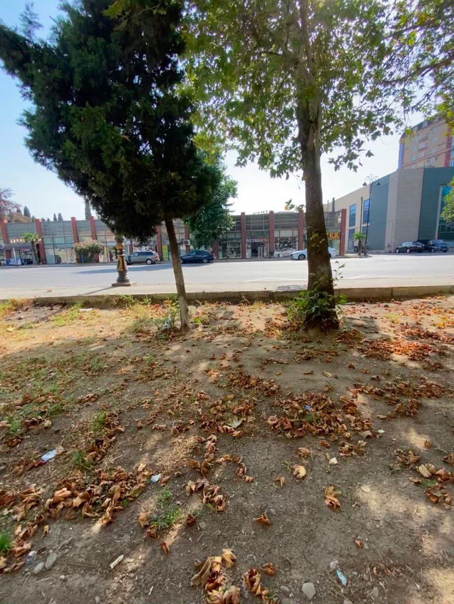 3-otaqlı mənzil, Gəncə ş., 65 m² — Mənzil, Gəncə (2)