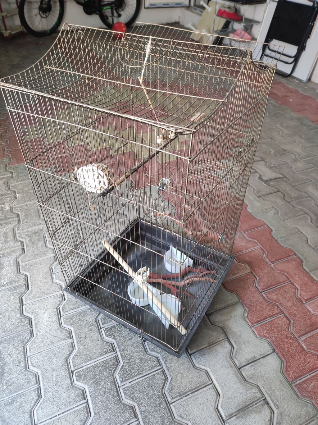 Qəfəslər ikisi bir yerdə 60 manat Qiymət sondur. Buna görə narahat — Qəfəslər, Mehdiabad (3)