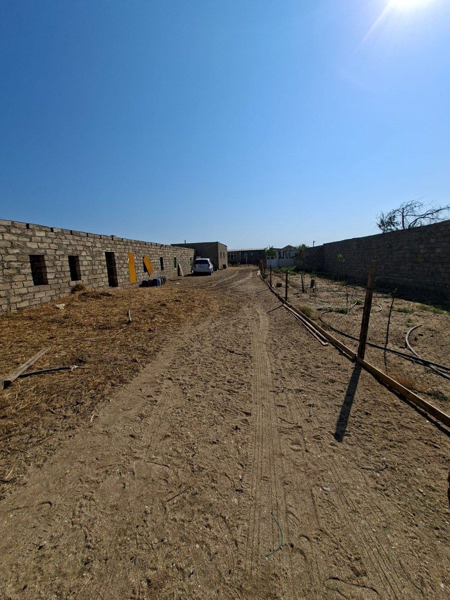 Həyət evi, Zirə qəs. — Ev, villa, Bakı (6)