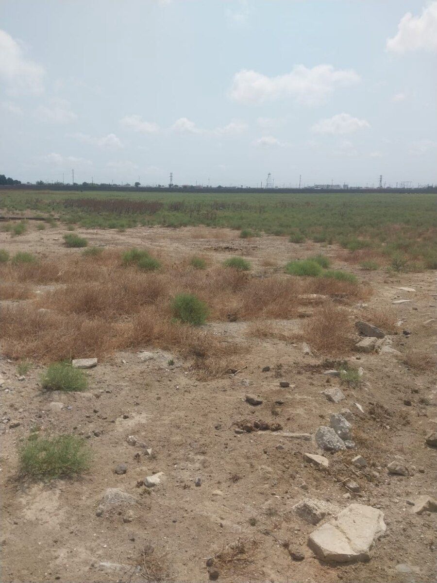 1100 sot torpaq sahəsi, Buzovna qəs — Torpaq, Bakı (10)