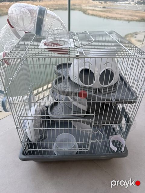 Hamster üçün çoxmərtəbəli qəfəs və aksesuar dəsti hamisi bir yerde — Bakı