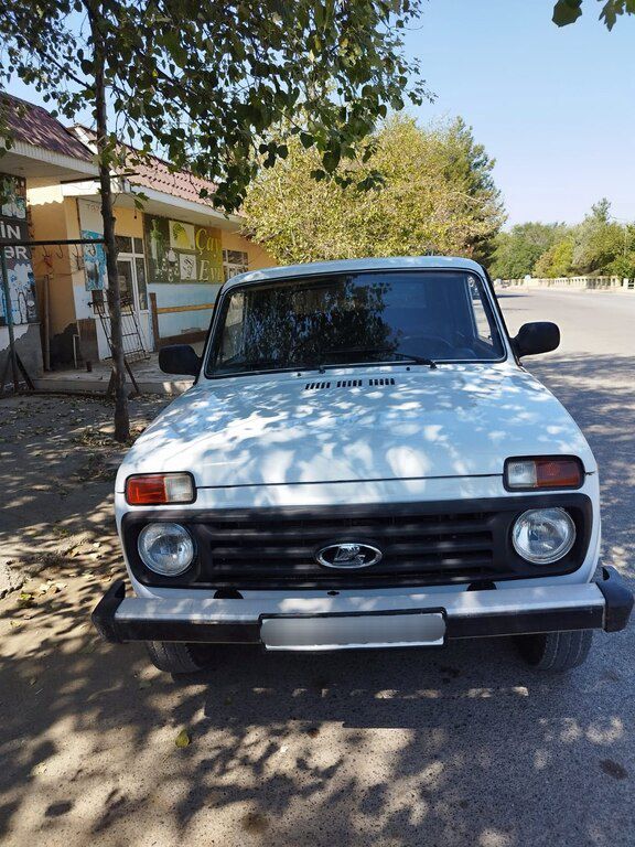 Lada (VAZ) Niva, 1.7 L, 1987 il, 250 000 km — Avtomobillər, Ağcabədi