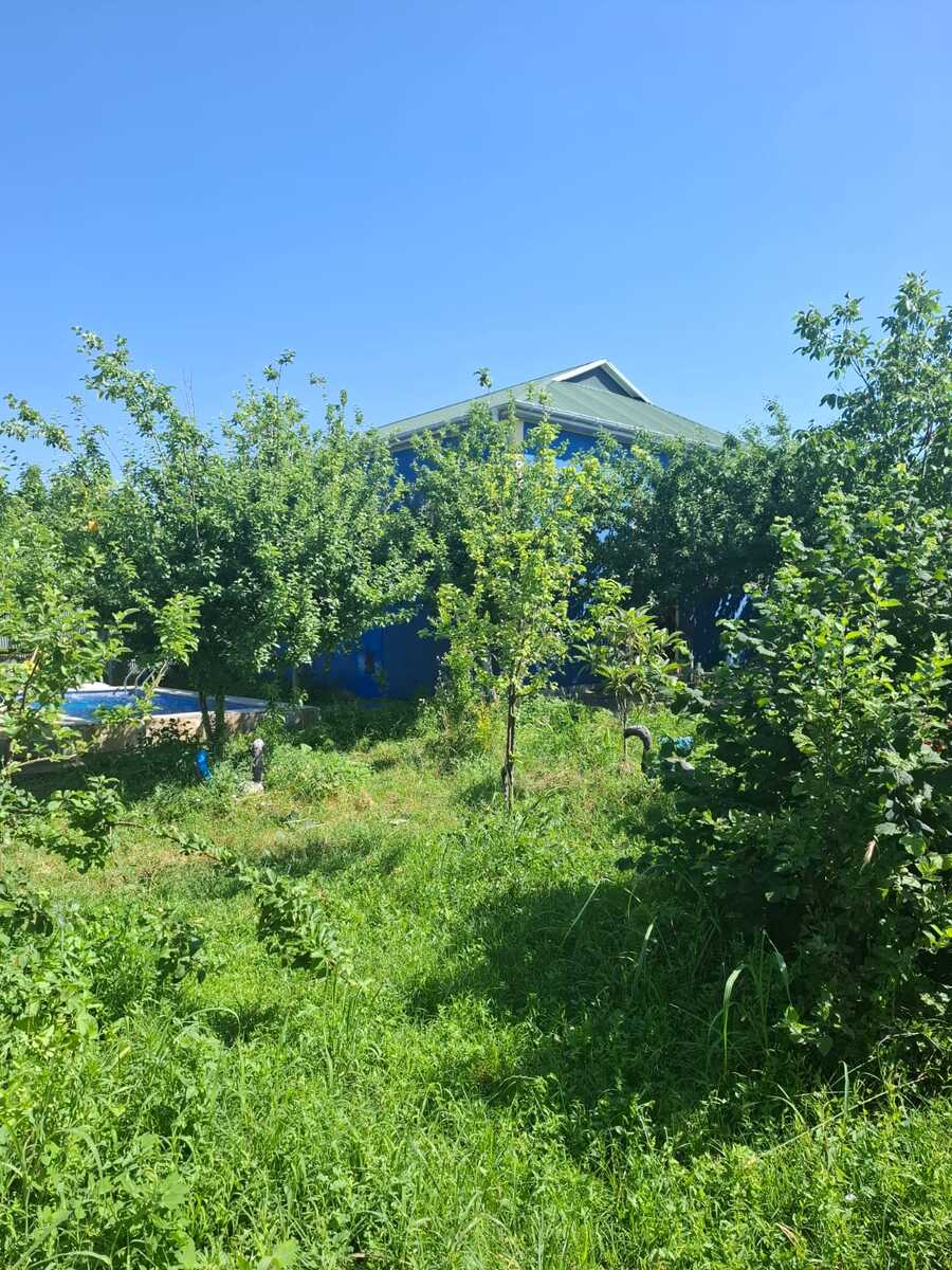 Həyət evi kirayə verilir, İsmayıllı r — Ev, villa, İsmayıllı (7)