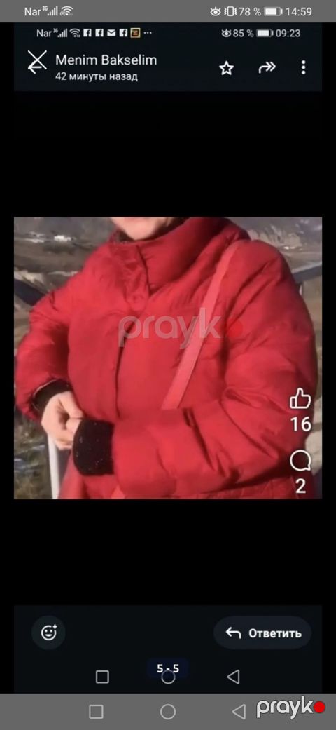 Qadınlar üçün qışlıq şişmə palto - Payız yaz mövsümü üçün. 150 manata — Bakı