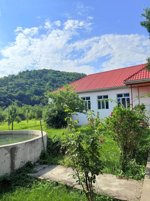 Həyət evi kirayə verilir, Qəbələ r — Qəbələ