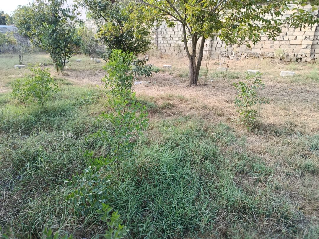 3 sot torpaq sahəsi, Maştağa qəs — Torpaq, Bakı (2)