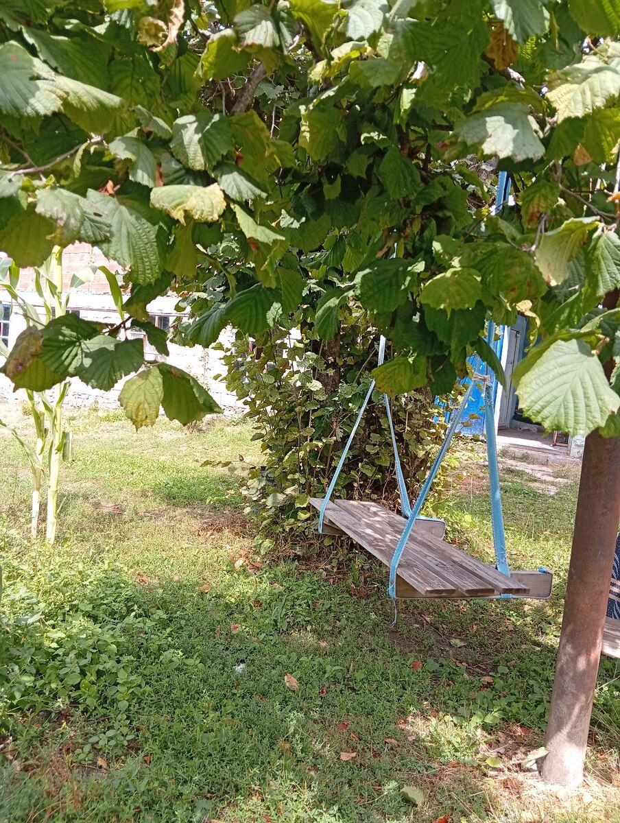 Bağ evi kirayə verilir, İsmayıllı r — Ev, villa, İsmayıllı (6)