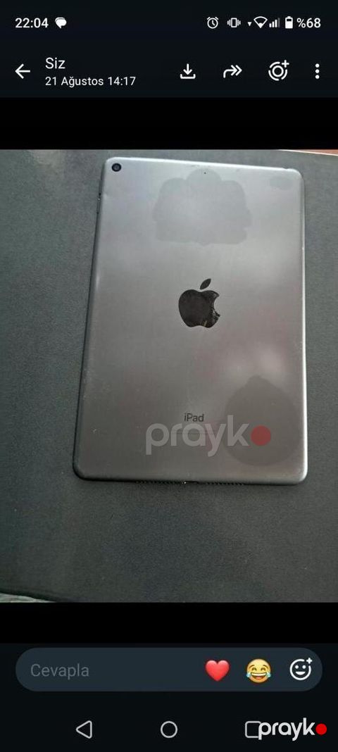 Apple iPad mini