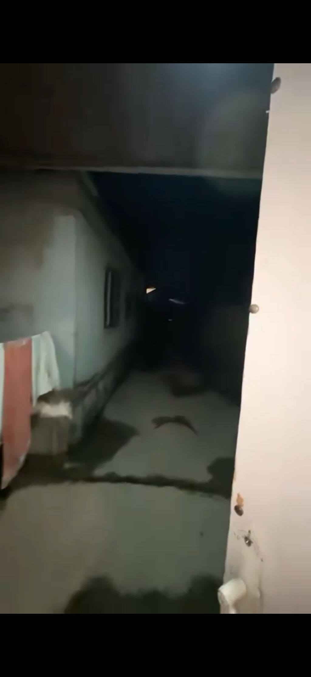 5 otaqlı, 200 kv. m, Yeni təmirli — Daşınmaz əmlak, Digah (2)
