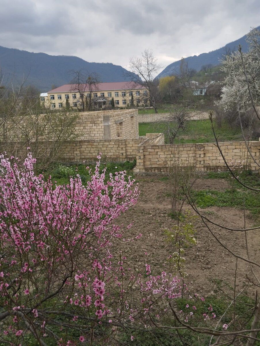 14 sot torpaq sahəsi, Quba r — Torpaq, Quba (2)