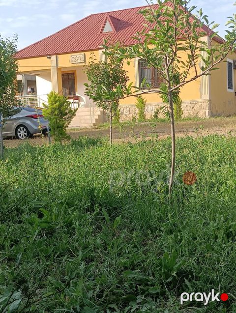 Bağ yerləşir xızıda Xələnc kəndində düz meshanin yanında