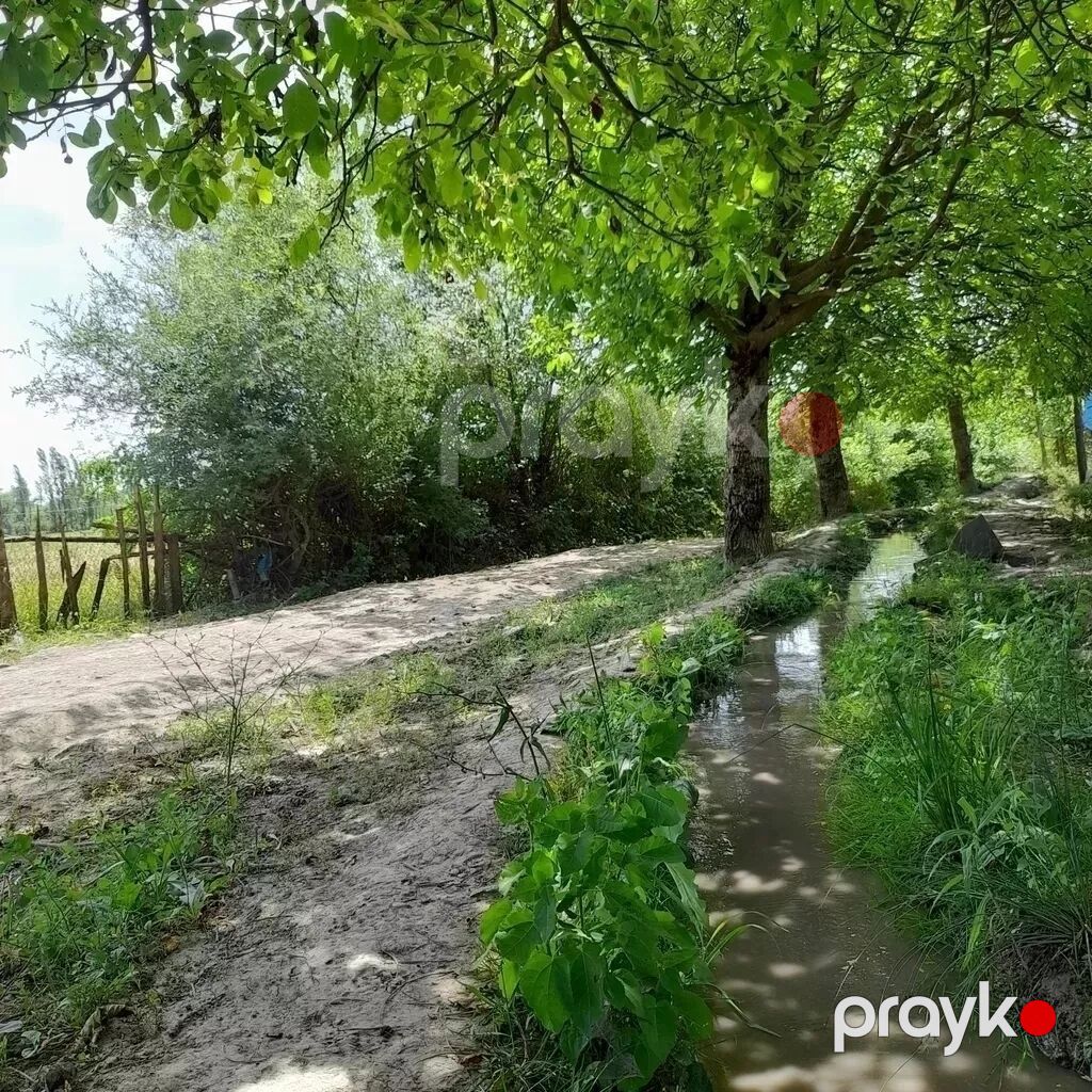 3 otaqlı, 130 kv. m, Kredit yoxdur, Təmirsiz — Ev, villa, Qusar (5)