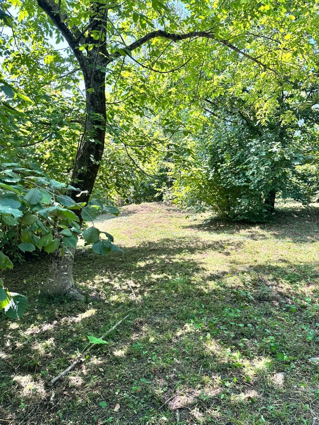 25 sot, Tikinti, Kupça (Çıxarış) — Torpaq, Qəbələ (3)