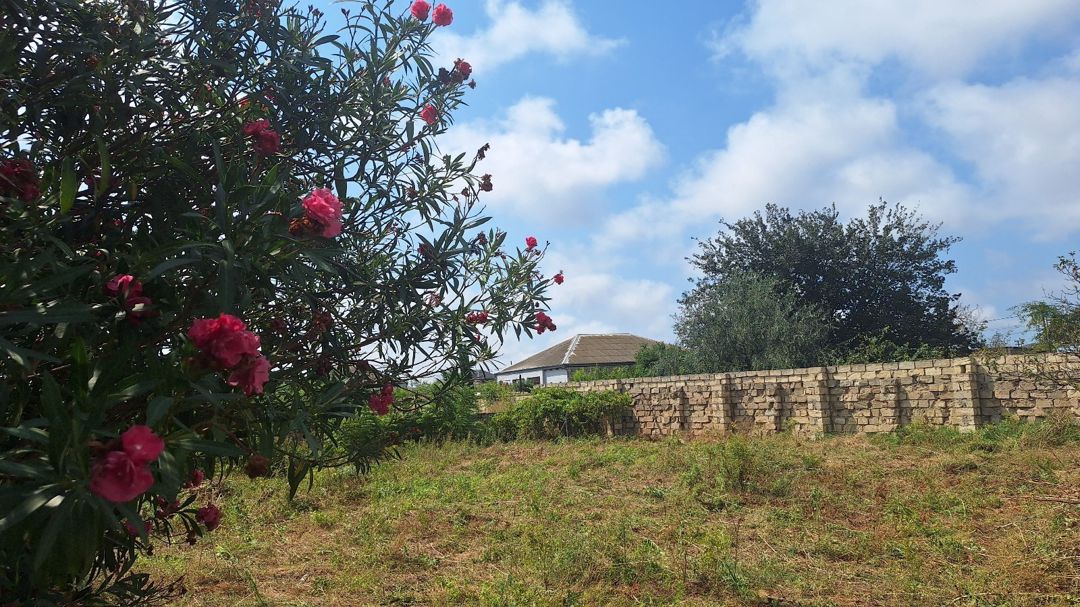 7 sot torpaq sahəsi, Bilqəh qəs. — Torpaq, Bakı