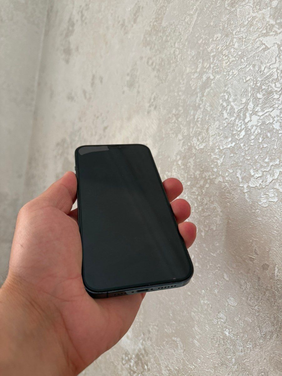 Apple iPhone 12 Pro Max Pacific Blue 256GB/6GB — Smartfonlar, Bakı (2)