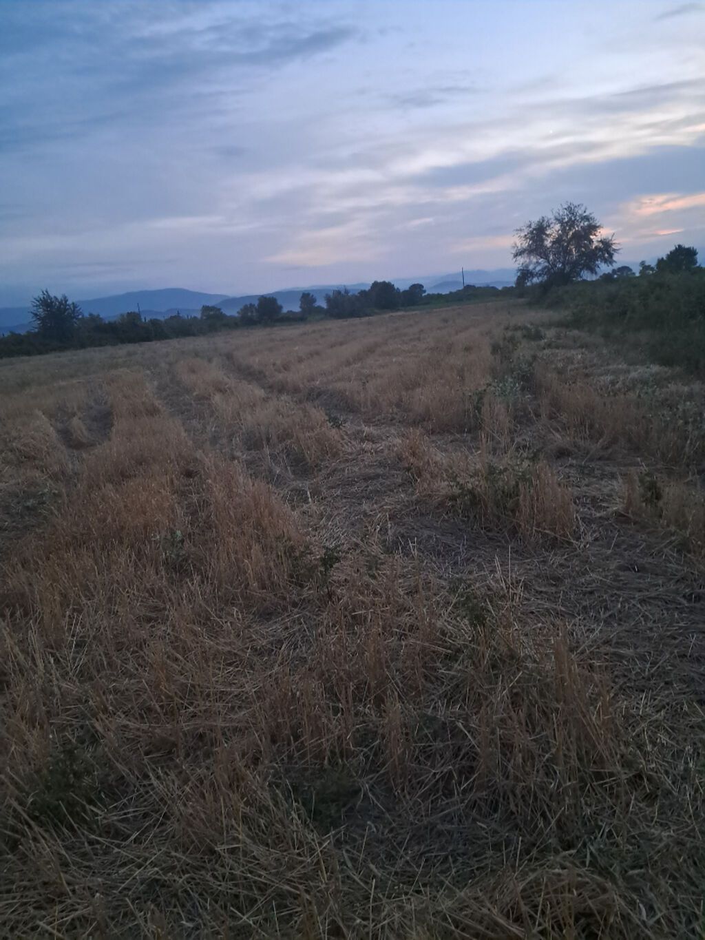 64 sot, Kənd təsərrüfatı, Kupça (Çıxarış) — Torpaq, Xaçmaz (5)