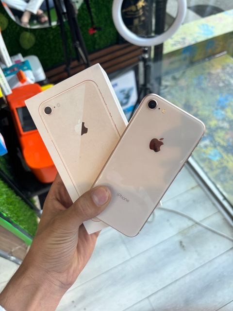 Apple iPhone 8 Gold 64GB — Bakı