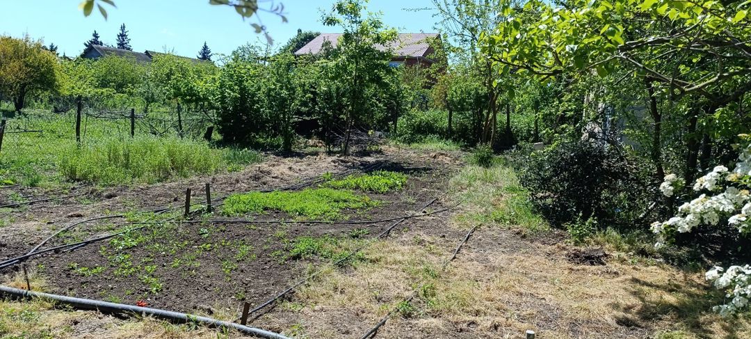 Həyət evi, Cəlilabad r — Ev, villa, Cəlilabad (10)