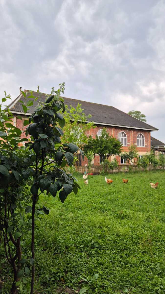 Həyət evi, Boladı k — Ev, villa, Lənkəran (3)