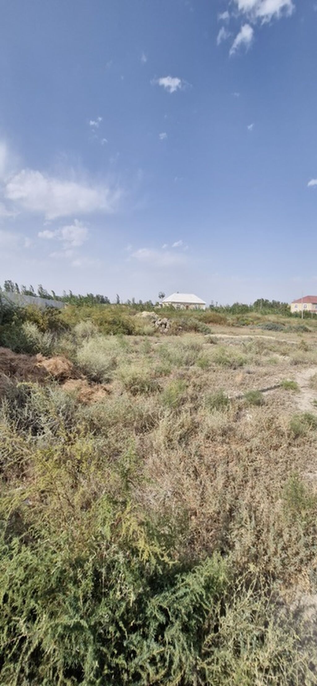 Tikinti — Torpaq, Salyan (5)
