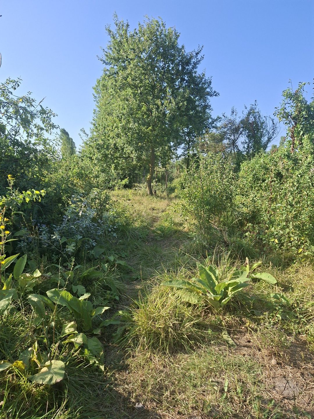 Həyət evi, Xaçmaz r — Ev, villa, Xaçmaz (7)