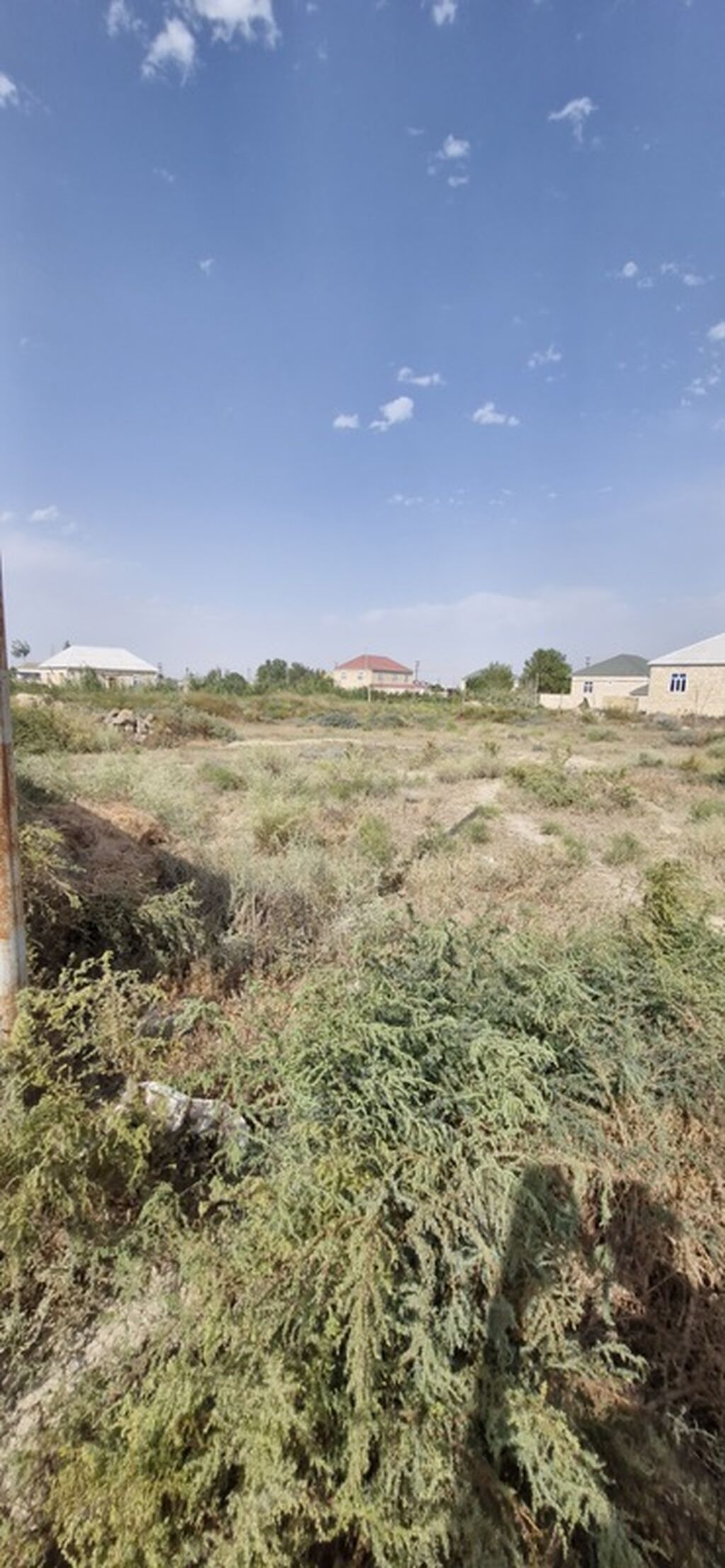 Tikinti — Torpaq, Salyan (4)