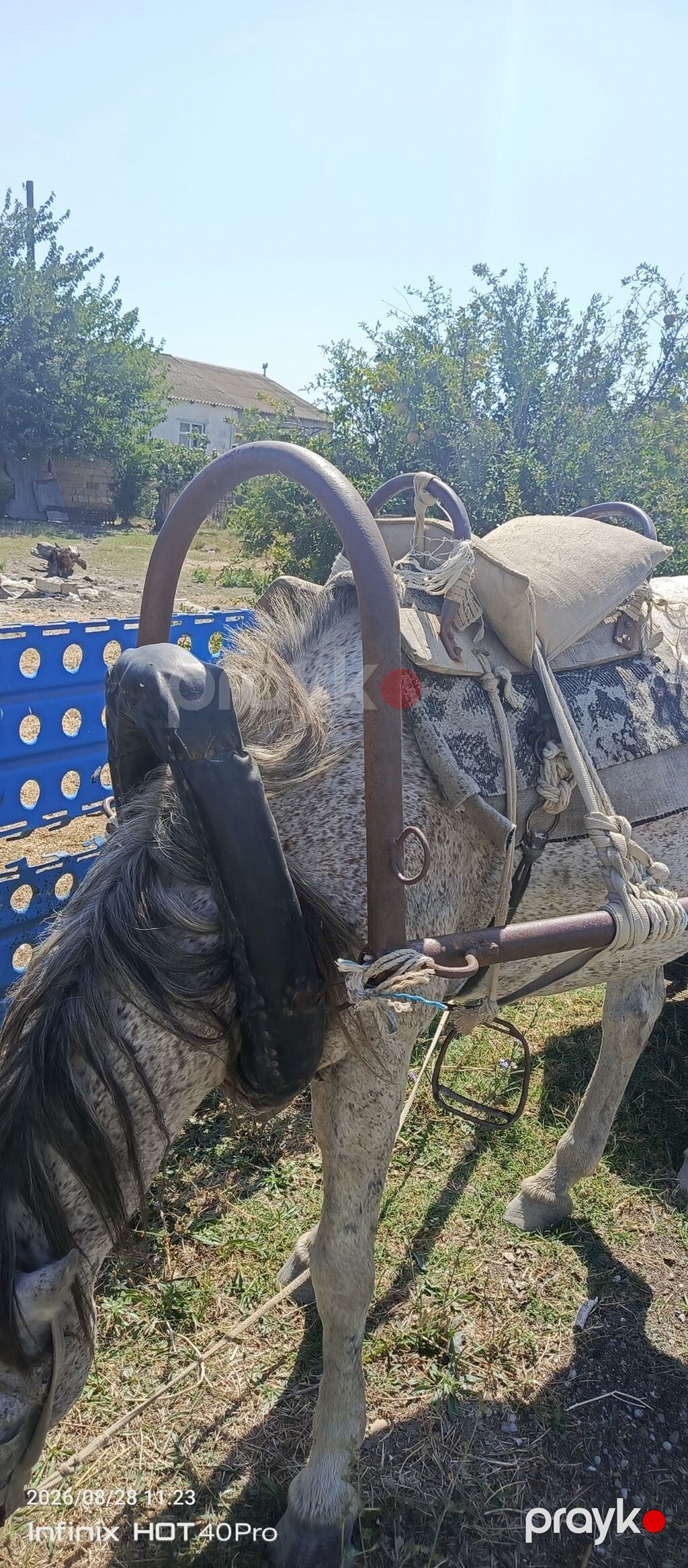 At arabası və qoşqu dəsti - İki təkərli, yarımörtülü taxta bortlu — Avto, Xızı (3)